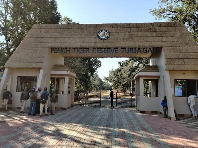 Pench Safari from Nagpur: Gates, Routes & Booking Guide