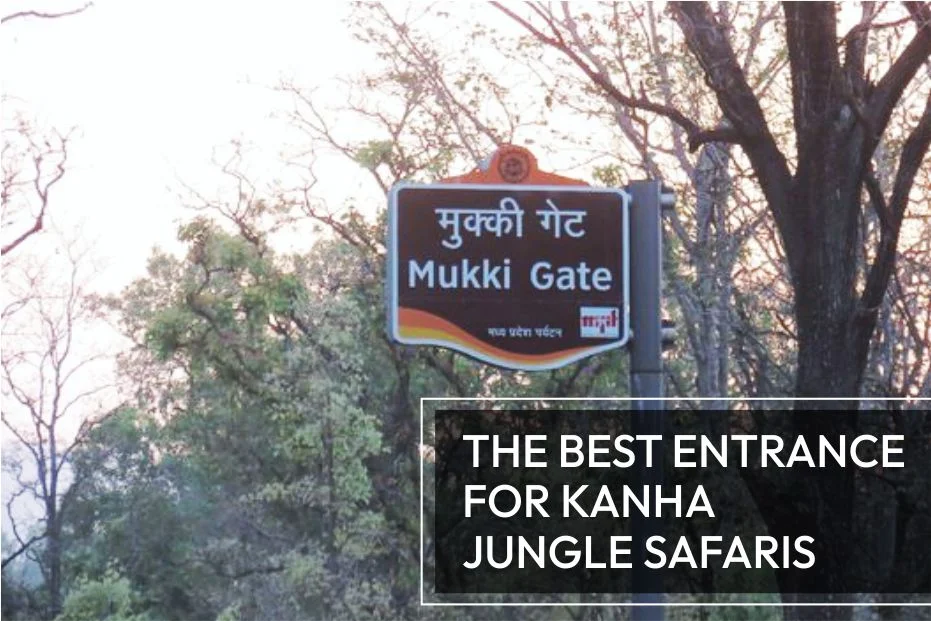 Mukki Zone
